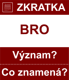 Co znamen zkratka BRO Vznam zkratky, akronymu? Kategorie: Chat a diskuze